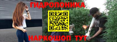 spice Краснознаменск