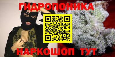 прущие грибы Краснодар
