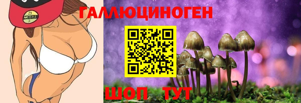 Псилоцибиновые грибы Psilocybe  Вход с VPN  Ишимбай 